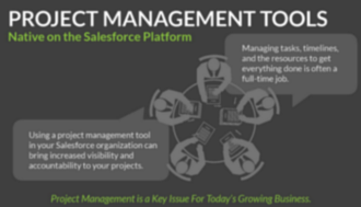Finding a Solution for Project Management on the Salesforce Platform