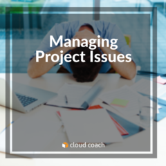 Managing Project Issues