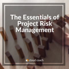 The Essentials of Project Risk Management