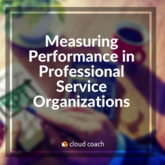 Measuring Performance in Professional Service Organizations