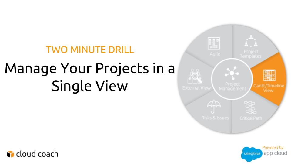 TWO MINUTE DRILL Manage Your Projects in a Single View