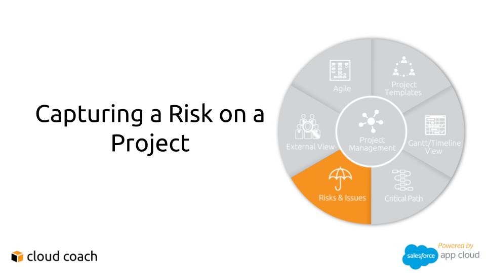 Capturing a Risk Against a Project