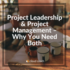 Project Leadership & Project Management – Why You Need Both