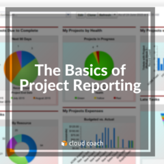 The Basics of Project Reporting