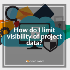 How do I limit visibility of project data?