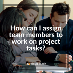 How can I assign team members to work on project tasks?