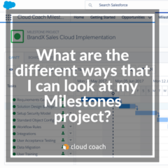 What are the different ways that I can look at my Milestones project?