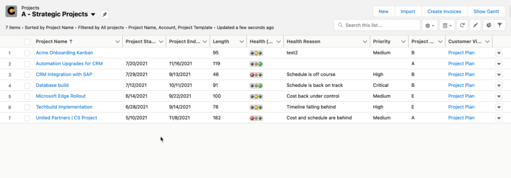 Projects List View