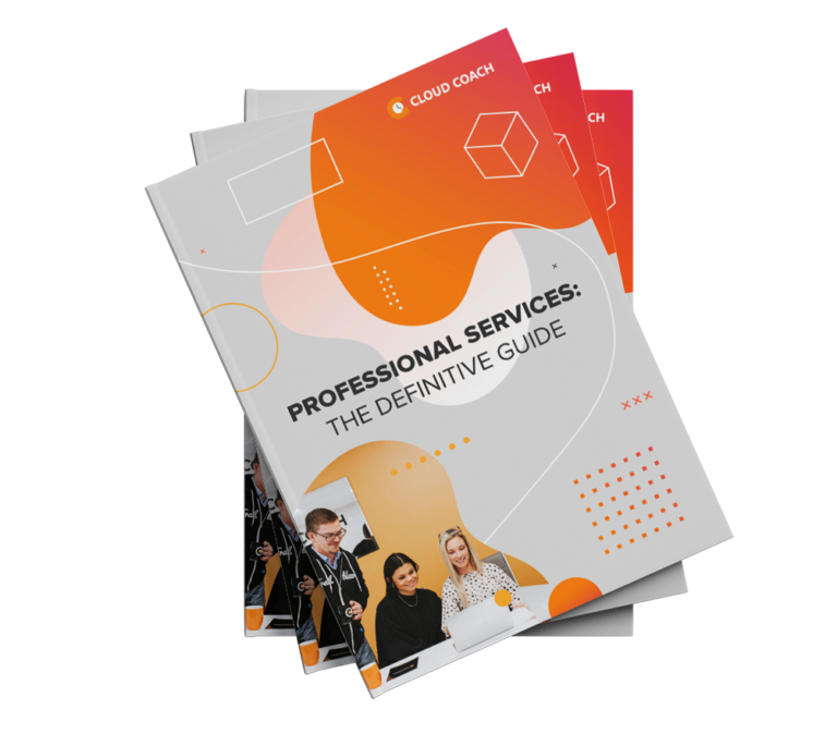 professional services guide cover