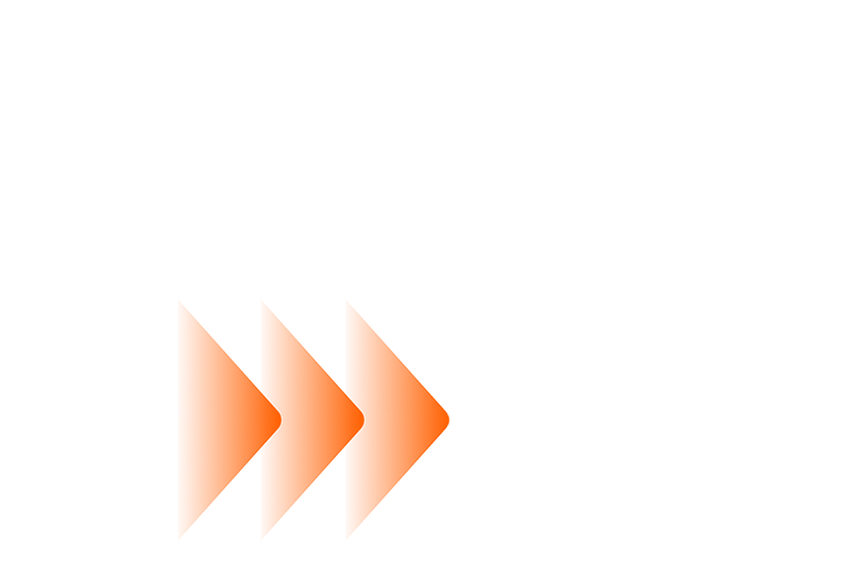 IT / System Architects 
